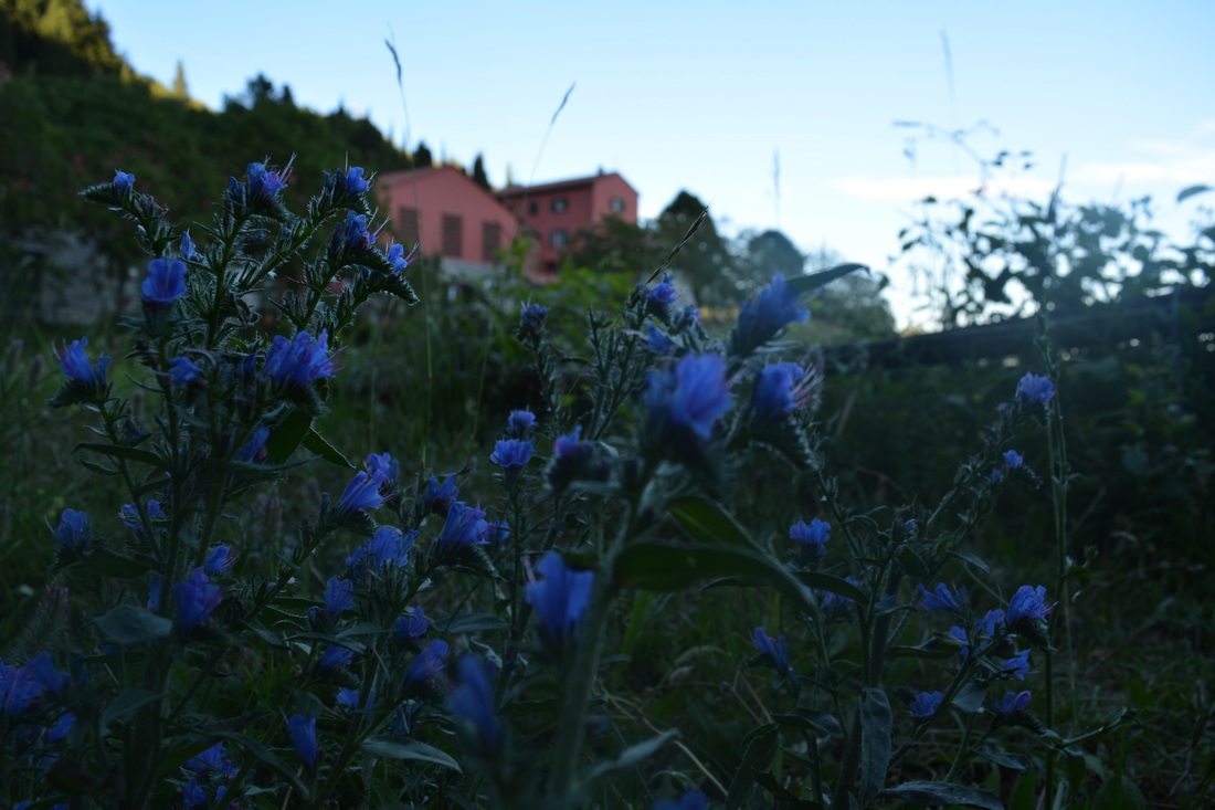 Agritourism Monte Pù