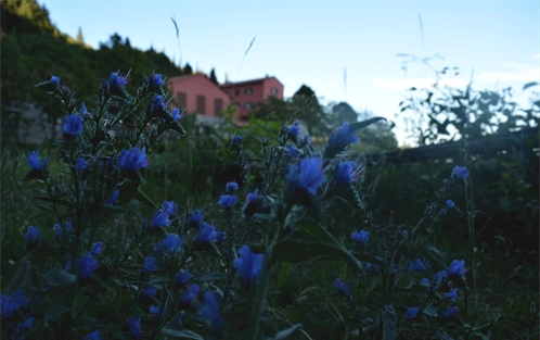 Agriturismo Monte Pù