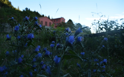 Agritourism Monte Pù