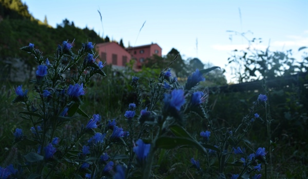 Agriturismo Monte Pù