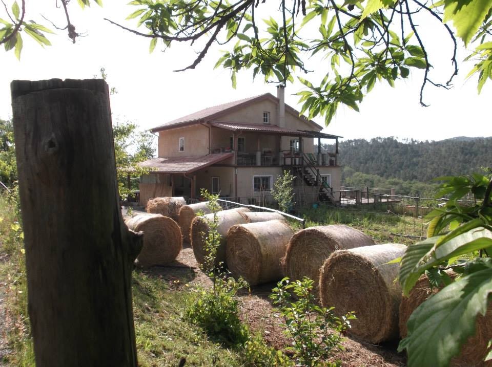 Agriturismo il Filo di Paglia