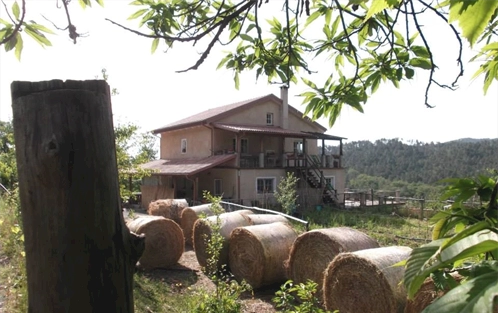 Agriturismo Il Filo di Paglia