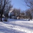 Rifugio Pino Loricato