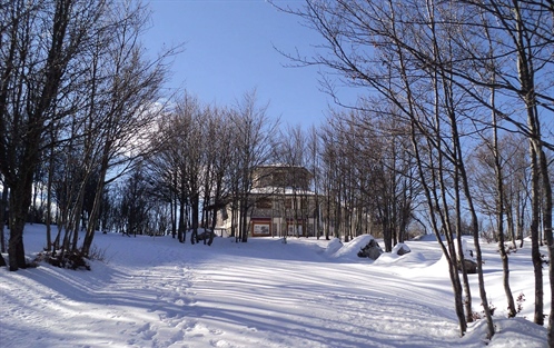 Refuge Pino Loricato