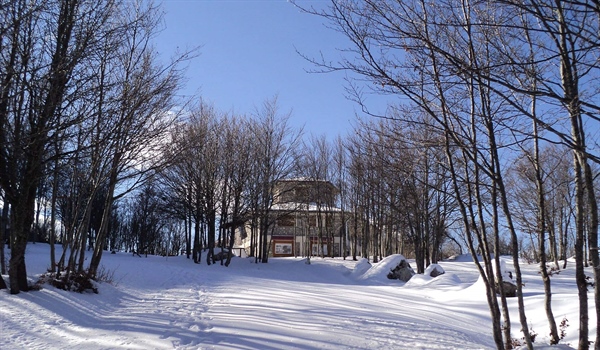 Rifugio Pino Loricato