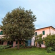 Agriturismo Settecentoalberi