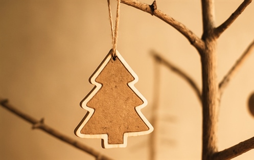 Come fare un albero di Natale sostenibile