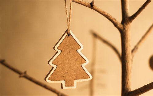 Come fare un albero di Natale sostenibile