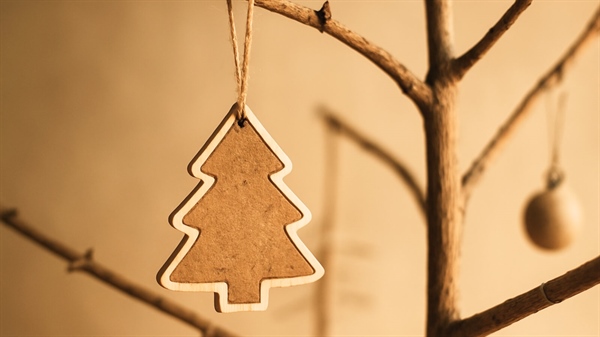 Come fare un albero di Natale sostenibile
