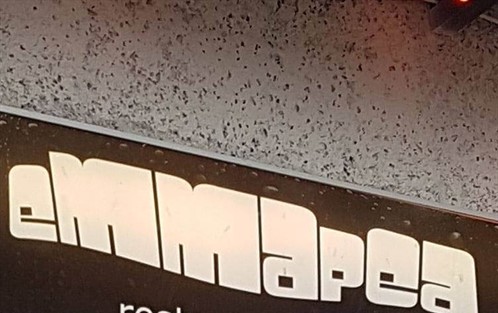 Vegan Restaurant Emma Pea