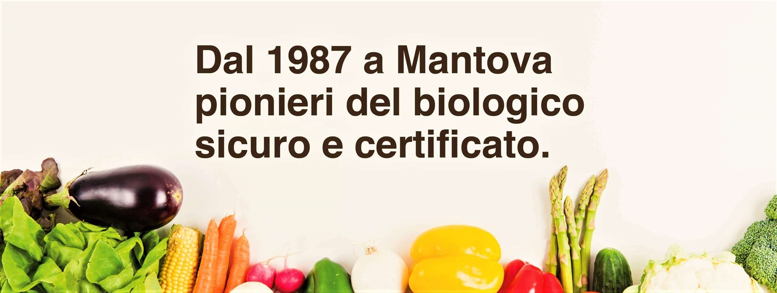 Supermercato Biologico Erboristeria L'Albero