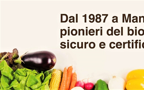 Supermercato Biologico Erboristeria L'Albero