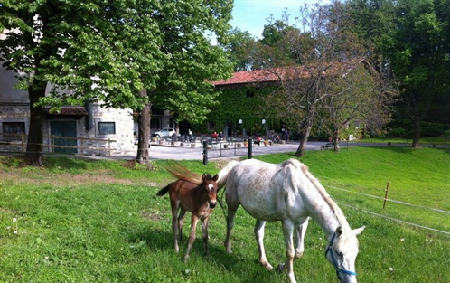 Farm Sant’Anna