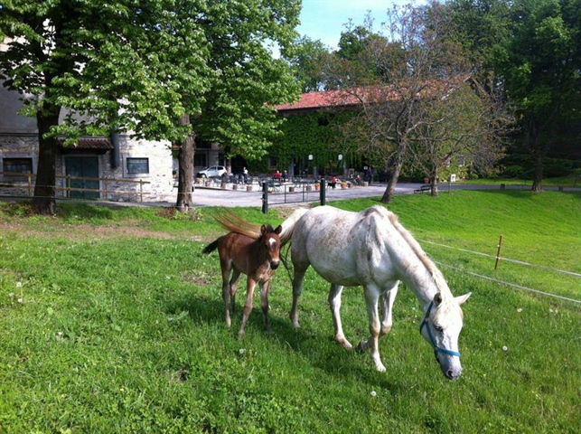 Farm Sant’Anna