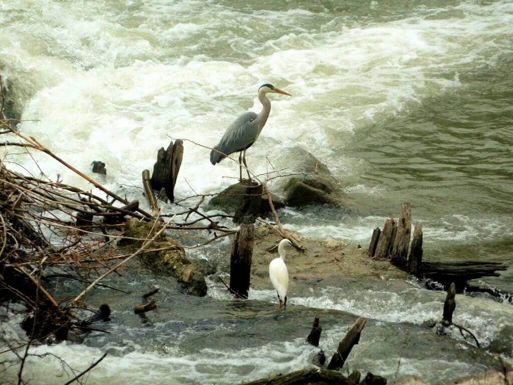 Tiber River Ecomuseum