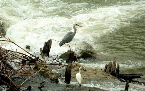 Tiber River Ecomuseum