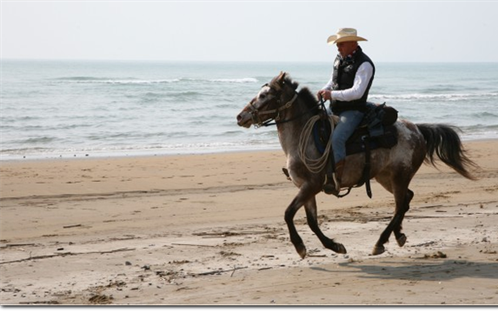 Horse Riding Center Country House Horse ASD