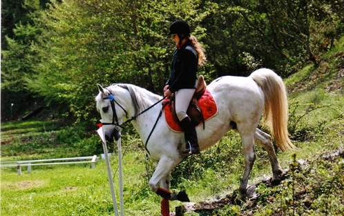 Horse Riding Center La Badia