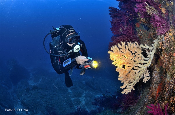 Diving Center Scuba Point Palau
