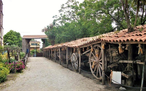 Rural Life Museum