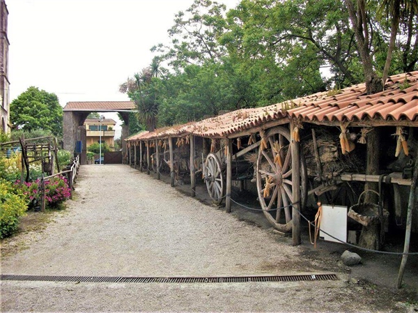 Rural Life Museum