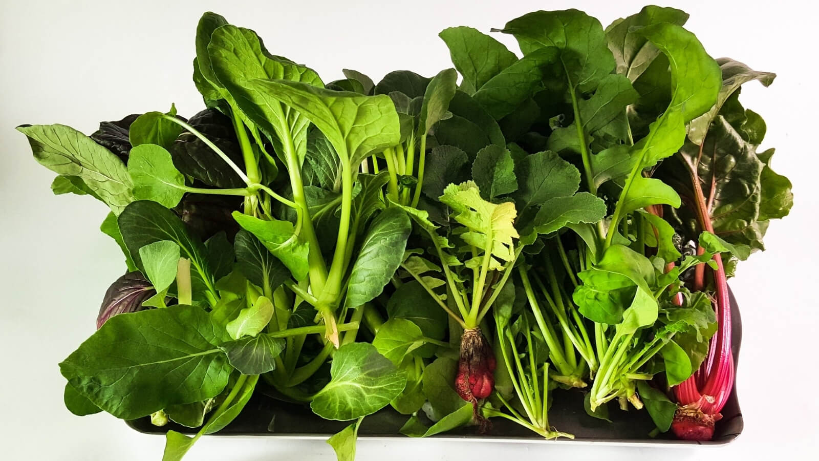 Hydroponic cultivation: how to create your own indoor vegetable garden