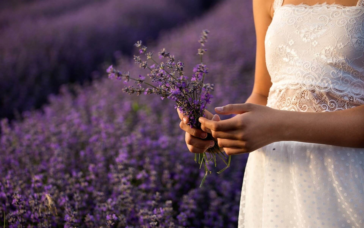 Aromaterapia - come fare l'olio essenziale alla lavanda