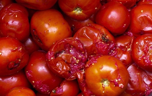 Lebensmittelverschwendung: Ursachen, Folgen und wie man sie vermeidet