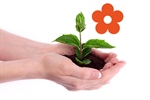 Monferrato Green Farm - Green and Agriculture Fair