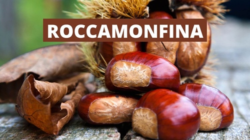 Sagra della Castagna IGP e del Fungo Porcino di Roccamonfina