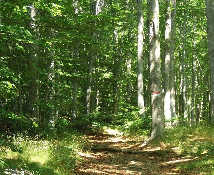 Escursione dal Casone di Profecchia al Monte Prado in Toscana