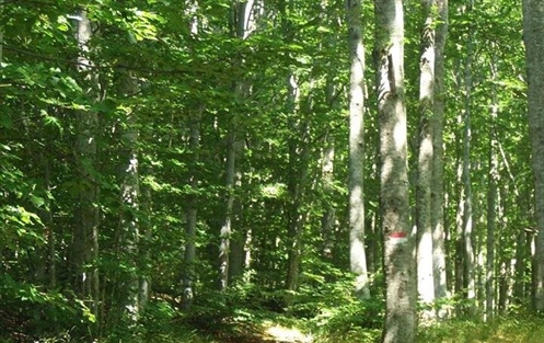 Escursione dal Casone di Profecchia al Monte Prado in Toscana