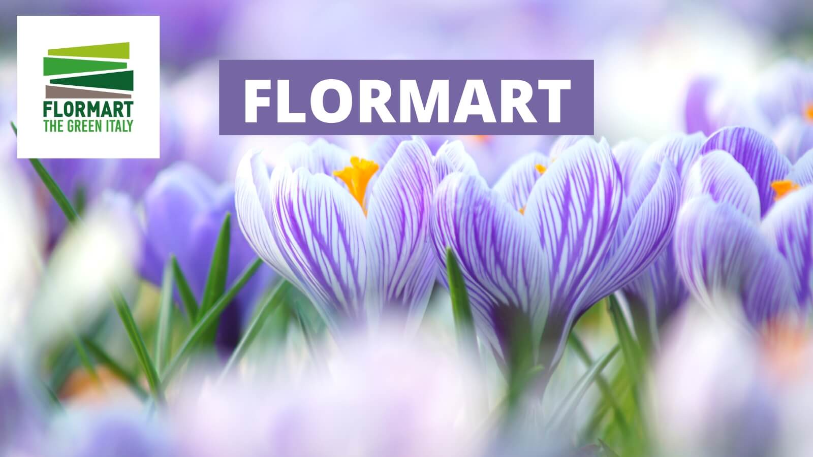 Flormart - The Green Italy - Salone Internazionale Florovivaismo, Verde e Paesaggio