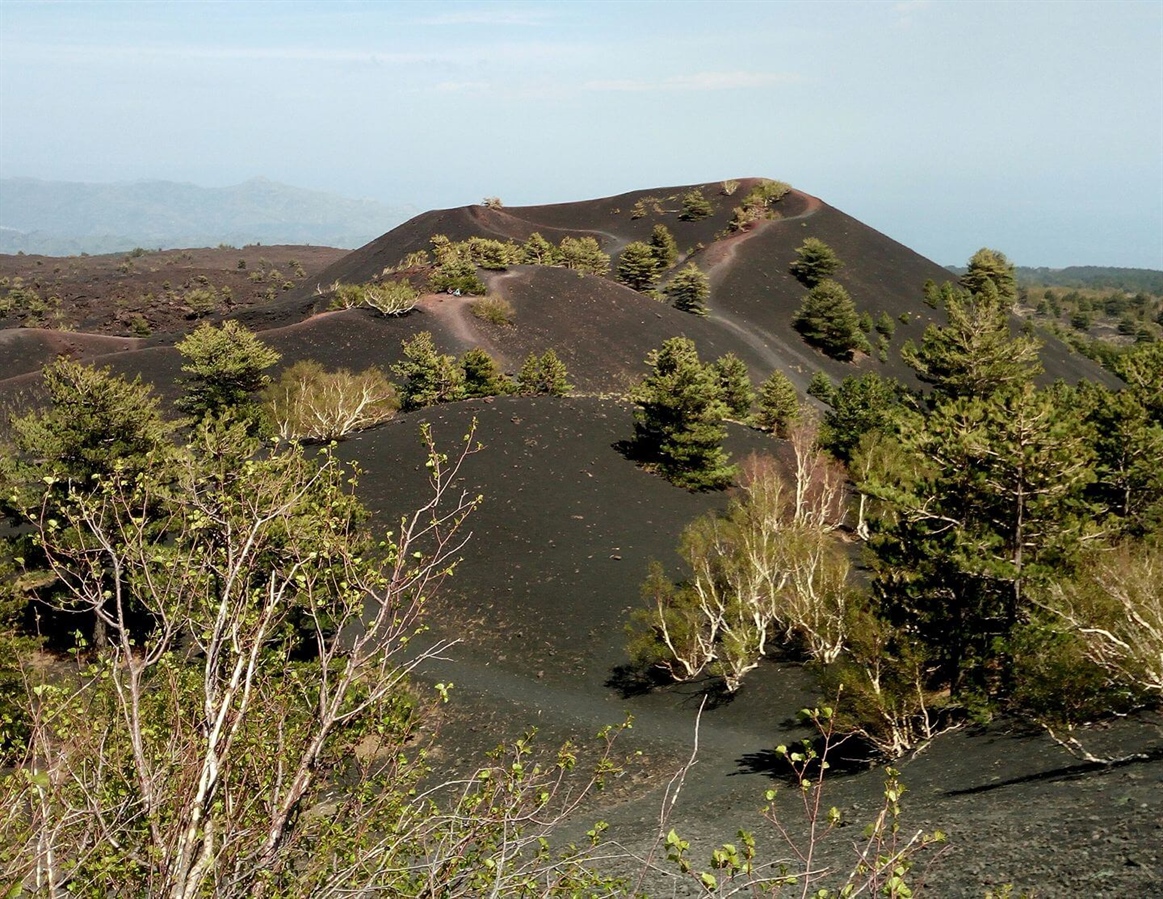 Etna: Passeggiata Naturalistica e Degustazione Vino