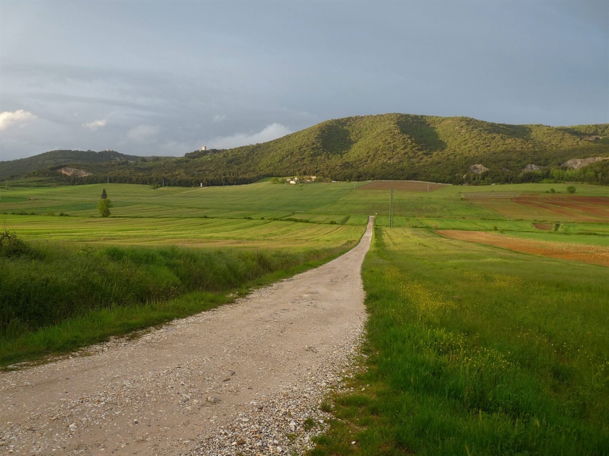 Montagnola di Natura, Yoga e Gusto