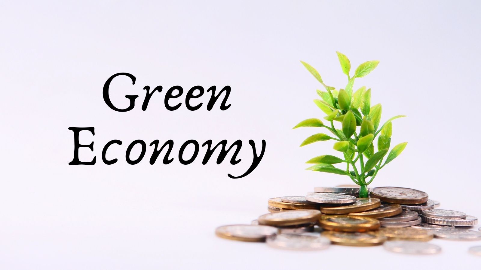 Green Economy