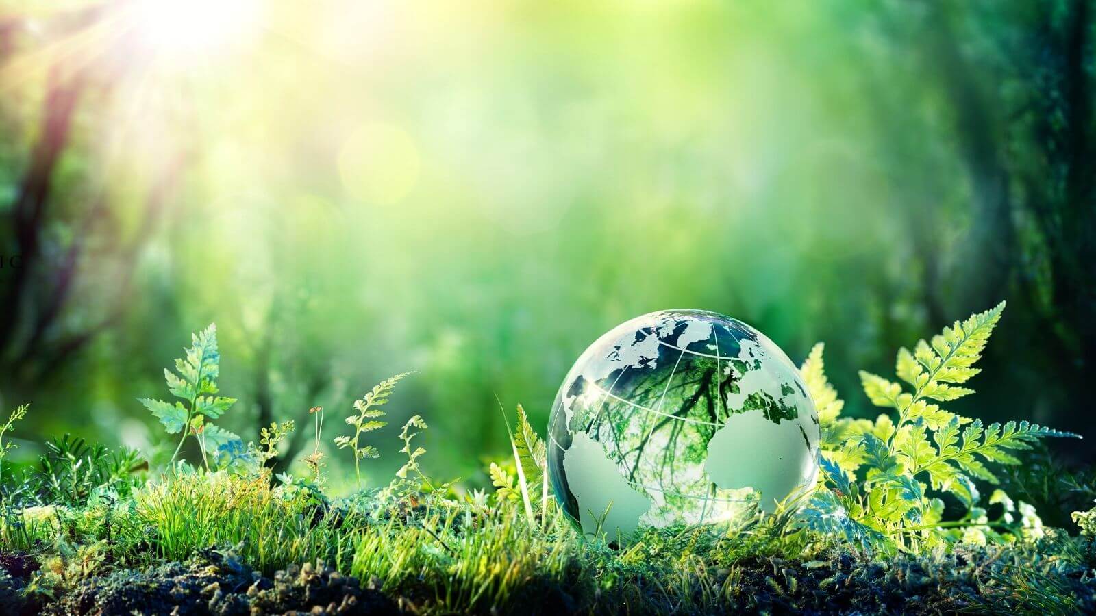 World Environment Day - June 5th