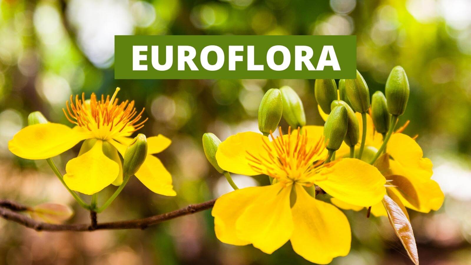 Euroflora - Mostra Internazionale del Fiore e delle Piante Ornamentali