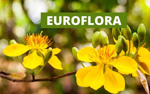 Euroflora - International Exhibition of Flower and Ornamental Plants
