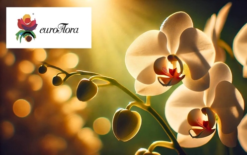 Euroflora - Mostra Internazionale del Fiore e delle Piante Ornamentali