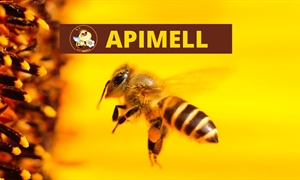 Apimell - Mostra Mercato Internazionale dell'Apicoltura