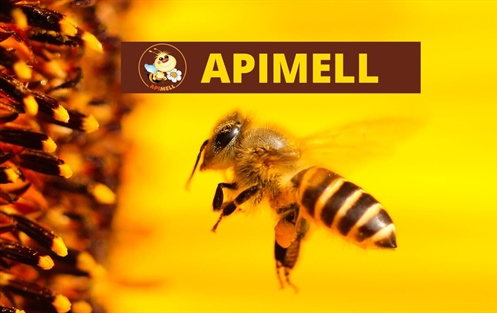 Apimell - International Trade Fair of Beekeeping