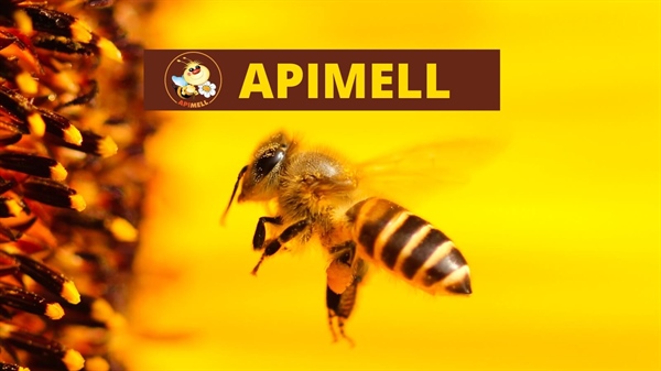 Apimell - International Trade Fair of Beekeeping