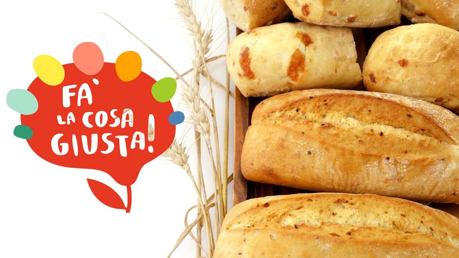 Fa' la cosa giusta! - Fair on critical consumption and sustainable lifestyles