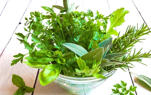 Come conservare le erbe aromatiche fresche