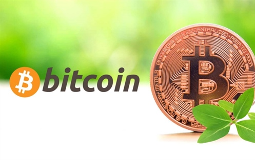 Bitcoin und Kryptowährungen auf dem Weg zur Nachhaltigkeit: Was wird getan, um die Umweltauswirkungen zu reduzieren?