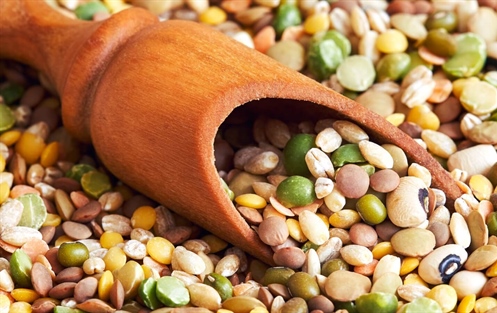 World Pulses Day - February 10th