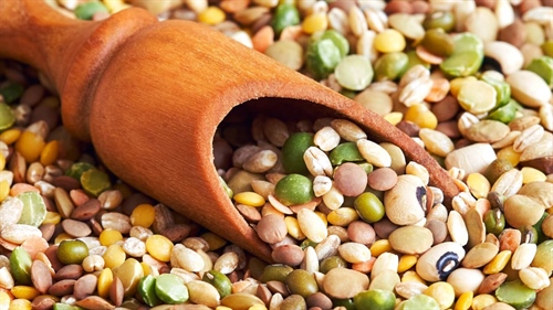 World Pulses Day - February 10