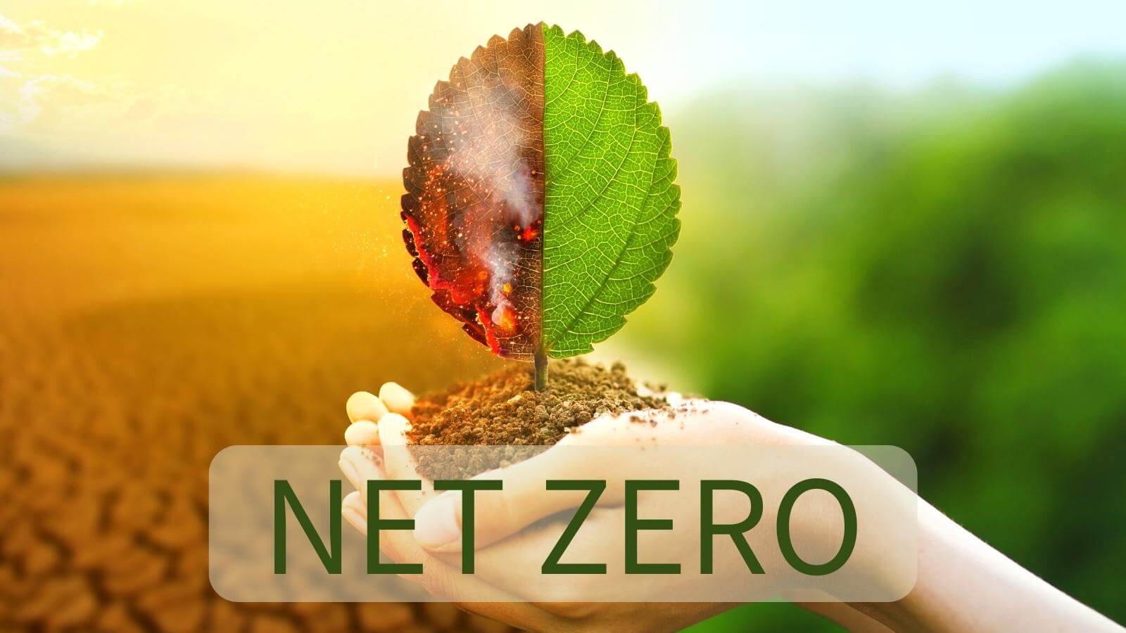 Net Zero - Neutralità Climatica