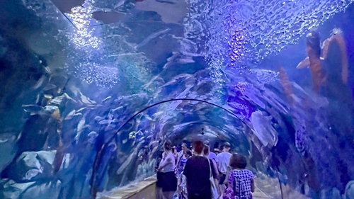How to access the Oceanografic of Valencia
